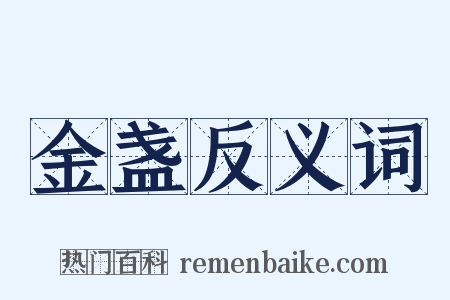 金盏反义词是什么意思的图片